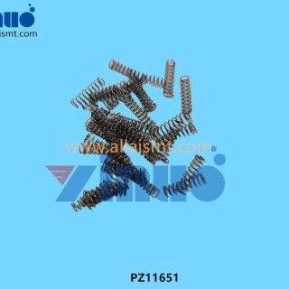 Spring-PZ11651