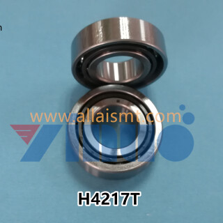 XP243-H4217T-BEARING--..