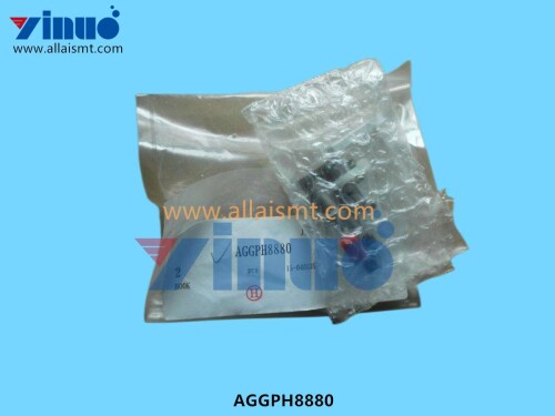 XPF HOOK AGGPH8880 (2)