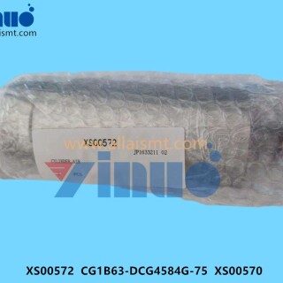 XS00572-CG1B63-DCG4584G-75-XS00570-CYLINDER-2