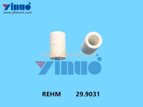 29.9031-REHM-Oxygen-analyzer-filter-element-3.jpg
