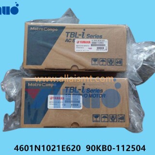 4601N1021E620-90KB0-112504-R2-Axis-Motor