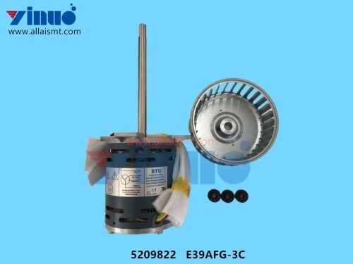 5209822 E39AFG 3C BTU HOT AIR MOTOR (2)