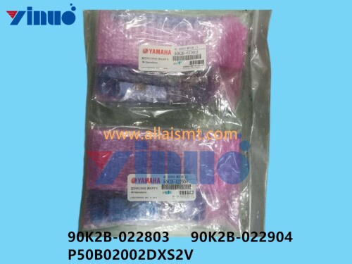 90K2B 022803 90K2B 022904 P50B02002DXS2V AC SERVO MOTOR 17W (3)