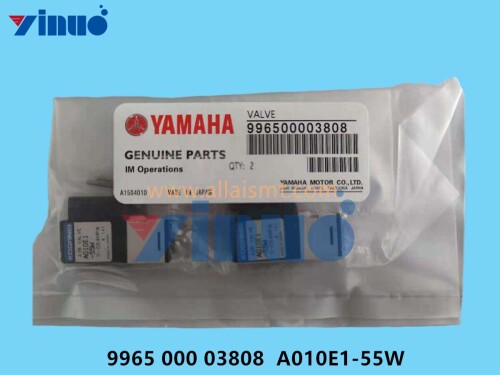 9965-000-03808-A010E1-55W-VALVE-1.jpg