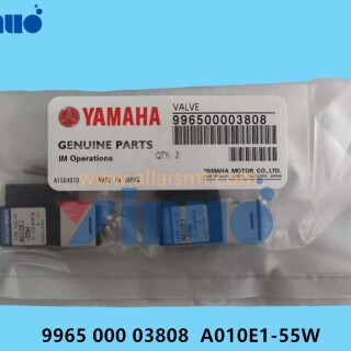 9965-000-03808-A010E1-55W-VALVE-1