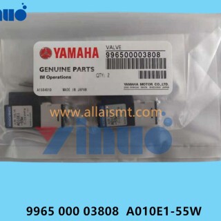 9965-000-03808-A010E1-55W-VALVE-2