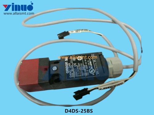 D4DS 25BS Safety Door Switch