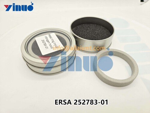 ERSA 252783 01 Gas Ring (1)
