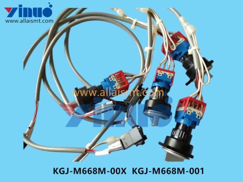 KGJ M668M 00X KGJ M668M 001 Switch (2)