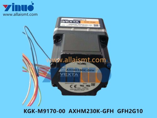 KGK M9170 00 AXHM230K GFH GFH2G10 DC SERVO MOTOR