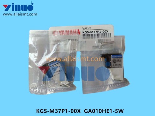 KGS M37P1 00X GA010HE1 5W BLOW VALVE (1)