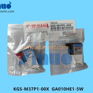 KGS-M37P1-00X-GA010HE1-5W-BLOW-VALVE-1