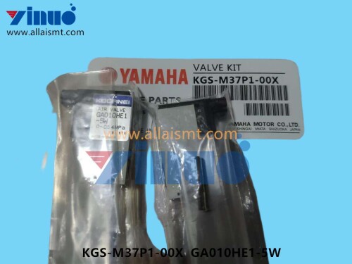 KGS M37P1 00X GA010HE1 5W BLOW VALVE (2)