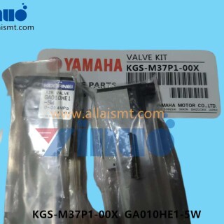 KGS-M37P1-00X-GA010HE1-5W-BLOW-VALVE-2