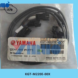 KGT-M220E-00X-SENSOR-2