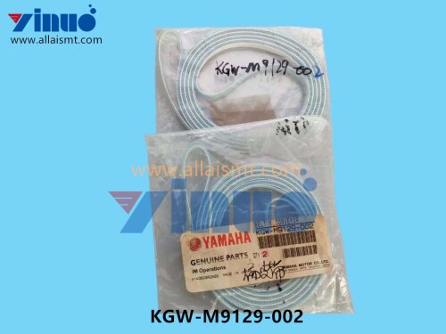 KGW M9129 002 BELT 1.CONVEYOR L=2500MM