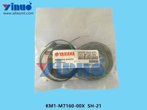 KM1 M7160 00X SH 21 SENSOR HEAD