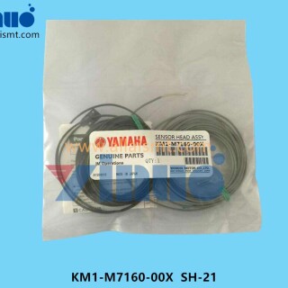 KM1-M7160-00X-SH-21-SENSOR-HEAD