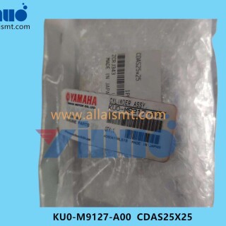 KU0-M9127-A00-CDAS25X25-CYLINDER-1