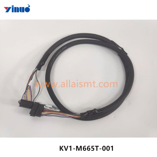 KV1 M665T 001