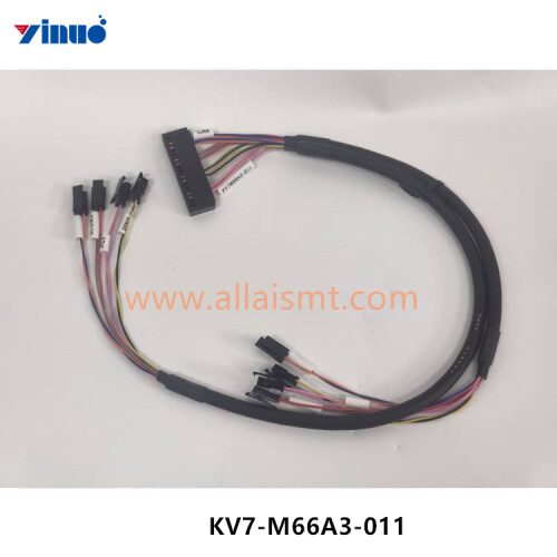 KV7 M66A3 011