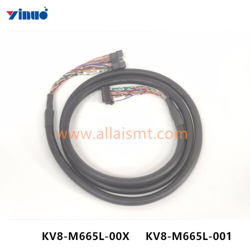 KV8 M665L 001