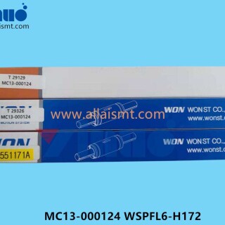 MC13-000124-WSPFL6-H172-BALL-SPLINE-ASSY