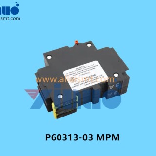P60313-03-MPM-Switch-6