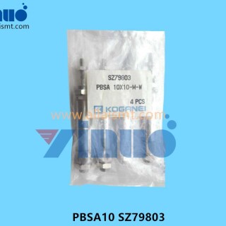 PBSA10-SZ79803-Cylinder