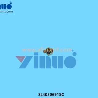 SL4030691SC-JUKI-SCREW-M3X6-2