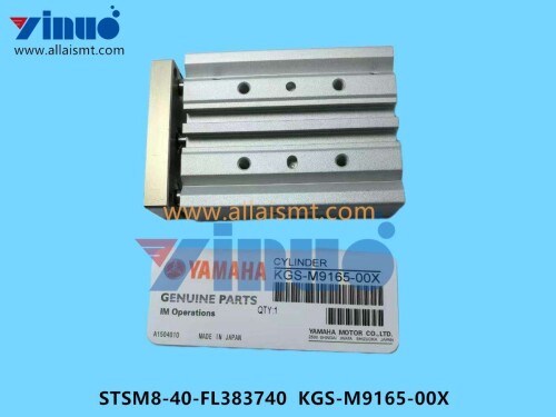 STSM8 40 FL383740 KGS M9165 00X Rotary Cylinder