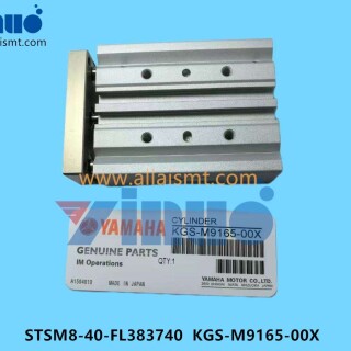 STSM8-40-FL383740-KGS-M9165-00X-Rotary-Cylinder