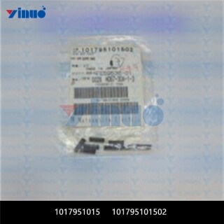 1017951015-101795101502-SPRING-3