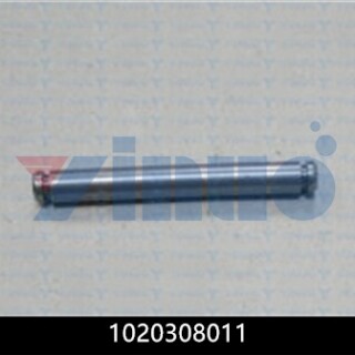 1020308011-PIN