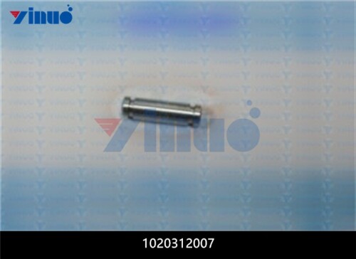 1020312007 PIN