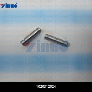 1020312024-PIN