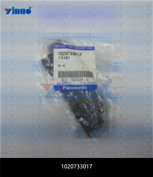 1020733017 FRAME