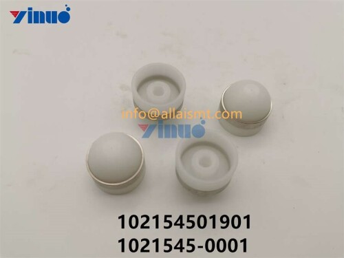 102154501901 1021545 0001 (2)