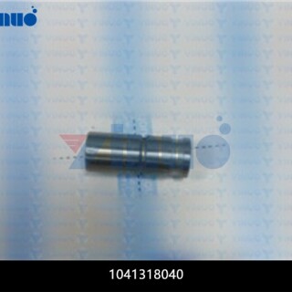 1041318040-PIN