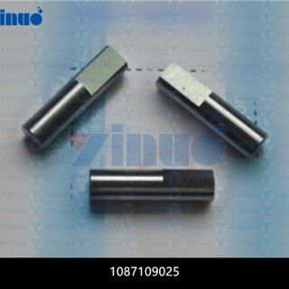1087109025-PIN