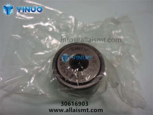 30616903.jpg