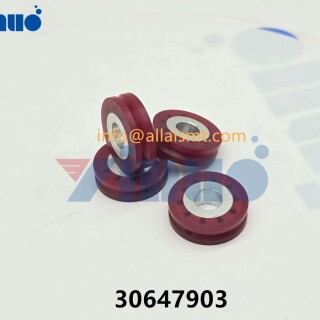 30647903-WHEEL-DRIVE-5