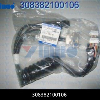 308382100106