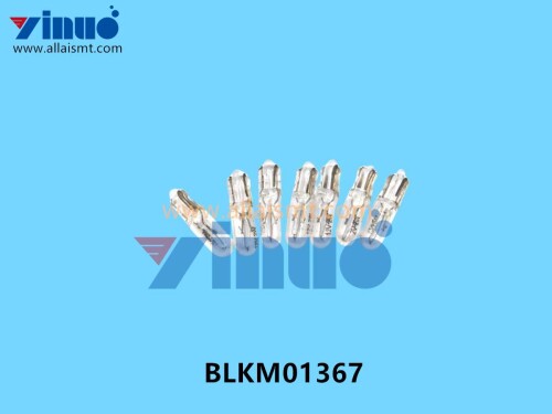 BLKM01367 Universal AI LAMP 14 VOLT (1)