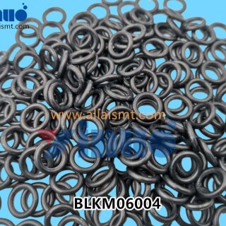 BLKM06004-Universal-AI-O-RING-2
