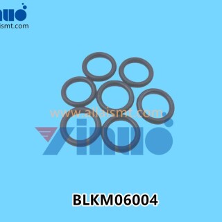BLKM06004-Universal-AI-O-RING-3