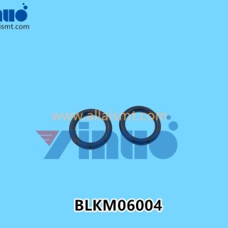 BLKM06004-Universal-AI-O-RING-4