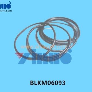 BLKM06093-Universal-AI-O-RING-3