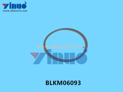 BLKM06093 Universal AI O RING (4)
